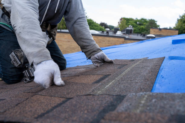 Roof Gutter Cleaning in Royalton, MN